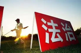 公开赛巅峰对决！川蜀火狐队失利瓯越青龙队，乒乓球赛场再起波澜；反击锐度十足(四川省乒乓球队队员)