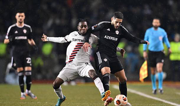 橡木结实还是槐木结实   橡木结实还是槐木结实